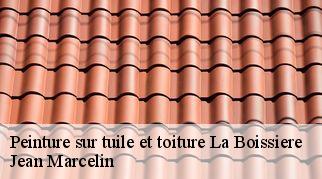 Peinture sur tuile et toiture  la-boissiere-34150 Jean Marcelin