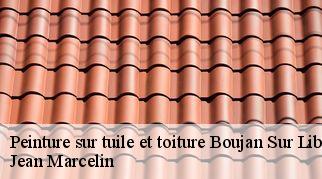 Peinture sur tuile et toiture boujan-sur-libron-34760 Jean Marcelin