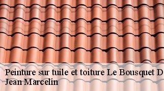 Peinture sur tuile et toiture  le-bousquet-d-orb-34260 Jean Marcelin