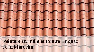 Peinture sur tuile et toiture  brignac-34800 Jean Marcelin