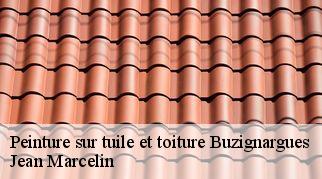 Peinture sur tuile et toiture  buzignargues-34160 Jean Marcelin