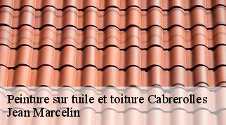 Peinture sur tuile et toiture  cabrerolles-34480 Jean Marcelin