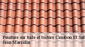 Peinture sur tuile et toiture  cambon-et-salvergues-34330 Jean Marcelin