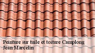 Peinture sur tuile et toiture  camplong-34260 Jean Marcelin