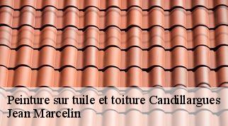 Peinture sur tuile et toiture  candillargues-34130 Jean Marcelin