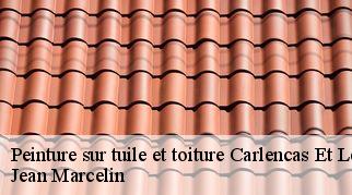 Peinture sur tuile et toiture  carlencas-et-levas-34600 Jean Marcelin