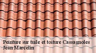 Peinture sur tuile et toiture  cassagnoles-34210 Jean Marcelin