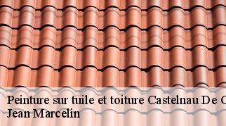 Peinture sur tuile et toiture castelnau-de-guers-34120 Jean Marcelin