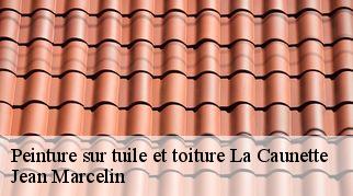 Peinture sur tuile et toiture  la-caunette-34210 Jean Marcelin