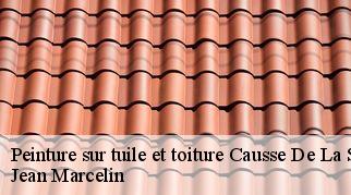 Peinture sur tuile et toiture causse-de-la-selle-34380 Jean Marcelin