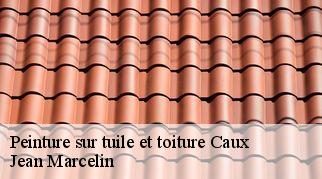 Peinture sur tuile et toiture  caux-34720 Jean Marcelin