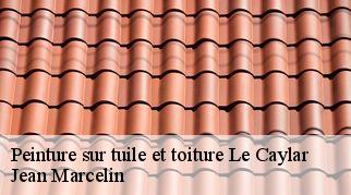 Peinture sur tuile et toiture  le-caylar-34520 Jean Marcelin