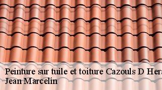 Peinture sur tuile et toiture  cazouls-d-herault-34120 Jean Marcelin