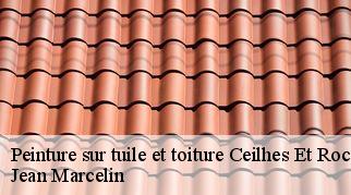 Peinture sur tuile et toiture ceilhes-et-rocozels-34260 Jean Marcelin