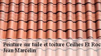 Peinture sur tuile et toiture  ceilhes-et-rocozels-34260 Jean Marcelin