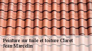 Peinture sur tuile et toiture claret-34270 Jean Marcelin