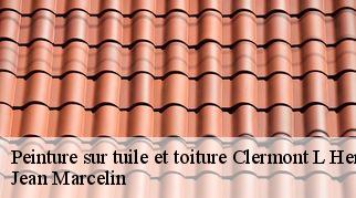 Peinture sur tuile et toiture  clermont-l-herault-34800 Jean Marcelin