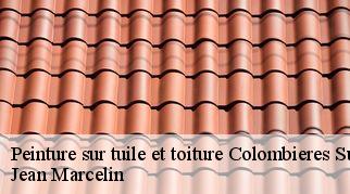 Peinture sur tuile et toiture  colombieres-sur-orb-34390 Jean Marcelin