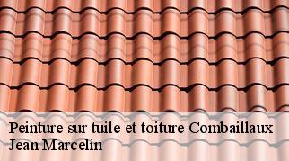 Peinture sur tuile et toiture  combaillaux-34980 Jean Marcelin