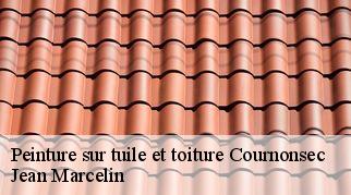 Peinture sur tuile et toiture cournonsec-34660 Jean Marcelin
