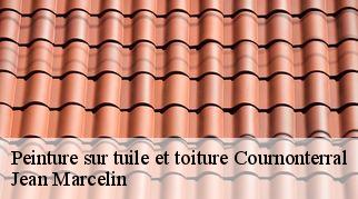 Peinture sur tuile et toiture  cournonterral-34660 Jean Marcelin