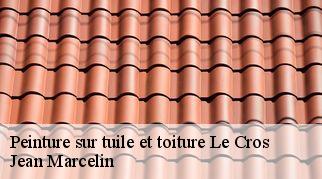Peinture sur tuile et toiture le-cros-34520 Jean Marcelin