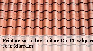 Peinture sur tuile et toiture  dio-et-valquieres-34650 Jean Marcelin