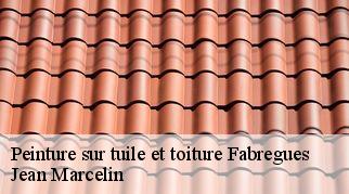 Peinture sur tuile et toiture  fabregues-34690 Jean Marcelin