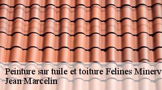 Peinture sur tuile et toiture  felines-minervois-34210 Jean Marcelin