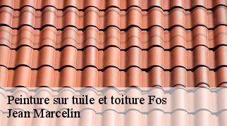 Peinture sur tuile et toiture fos-34320 Jean Marcelin