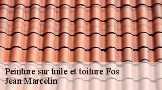 Peinture sur tuile et toiture  fos-34320 Jean Marcelin