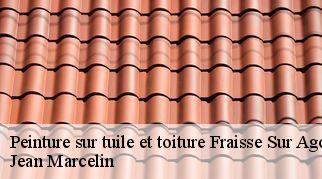 Peinture sur tuile et toiture fraisse-sur-agout-34330 Jean Marcelin