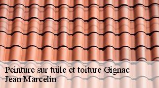 Peinture sur tuile et toiture  gignac-34150 Jean Marcelin