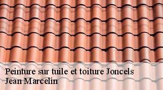 Peinture sur tuile et toiture  joncels-34650 Jean Marcelin