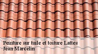 Peinture sur tuile et toiture  lattes-34970 Jean Marcelin