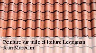 Peinture sur tuile et toiture  lespignan-34710 Jean Marcelin