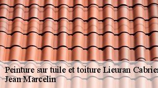 Peinture sur tuile et toiture lieuran-cabrieres-34800 Jean Marcelin