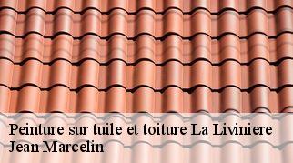 Peinture sur tuile et toiture la-liviniere-34210 Jean Marcelin