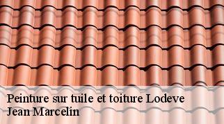 Peinture sur tuile et toiture lodeve-34700 Jean Marcelin
