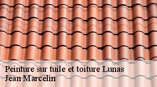 Peinture sur tuile et toiture lunas-34650 Jean Marcelin
