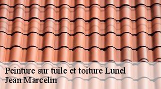 Peinture sur tuile et toiture  lunel-34400 Jean Marcelin