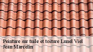 Peinture sur tuile et toiture  lunel-viel-34400 Jean Marcelin