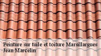 Peinture sur tuile et toiture  marsillargues-34590 Jean Marcelin