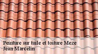 Peinture sur tuile et toiture  meze-34140 Jean Marcelin