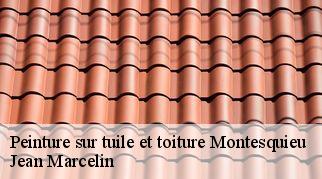 Peinture sur tuile et toiture  montesquieu-34320 Jean Marcelin