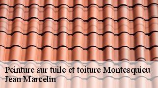 Peinture sur tuile et toiture montesquieu-34320 Jean Marcelin