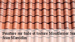 Peinture sur tuile et toiture  montferrier-sur-lez-34980 Jean Marcelin