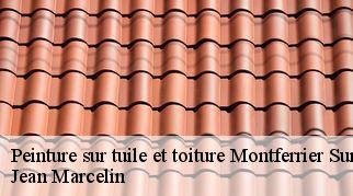 Peinture sur tuile et toiture montferrier-sur-lez-34980 Jean Marcelin
