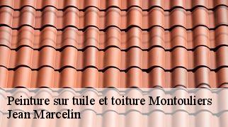 Peinture sur tuile et toiture  montouliers-34310 Jean Marcelin