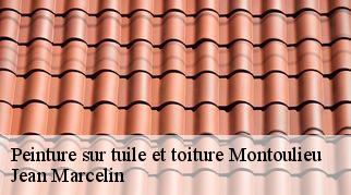 Peinture sur tuile et toiture  montoulieu-34190 Jean Marcelin